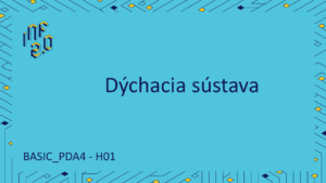 BASIC_PDA4 - H01 - Dýchacia sústava - MS Copilot