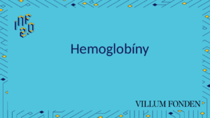 BCH - H02 - Hemoglobíny - MolView