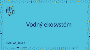 BIO5 - H02 - Vodný ekosystém - Canva