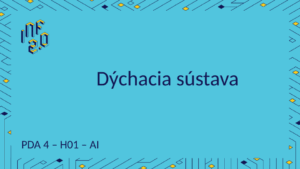 PDA4 - H01 - Dýchacia sústava - Mizou